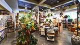 Plants and decorations in House of Flowers retail space