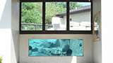 Otter husbandry building underwater viewing window